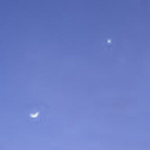 Meet your Posher, Tabby